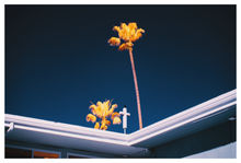 Load image into Gallery viewer, Main image CALIFORN-IR #09