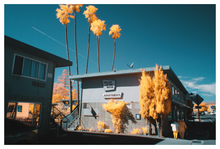 Load image into Gallery viewer, Main image CALIFORN-IR #10