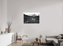 Load image into Gallery viewer, 105 x 70 cm, William Turner Print mit 2cm Weißrand 2 sheep, Austria
