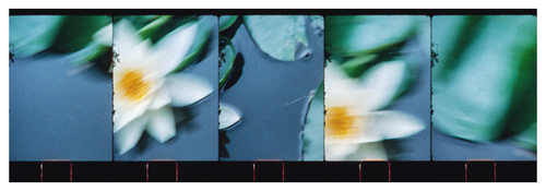 Main image Monets Garden, Giverny