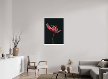Load image into Gallery viewer, 75 x 100 cm, William Turner Print mit 2cm Weißrand Assaulted Flowers
