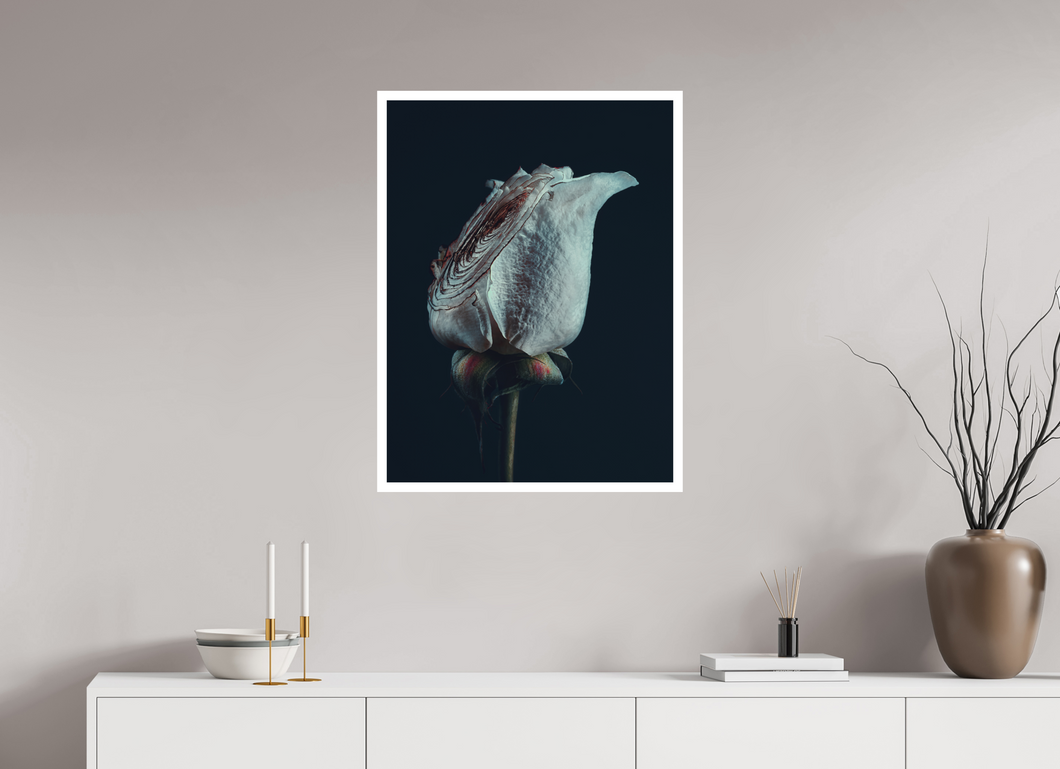 60 x 80 cm, William Turner Print mit 2cm Weißrand Assaulted Flowers #11