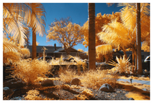 Load image into Gallery viewer, Main image CALIFORN-IR #11
