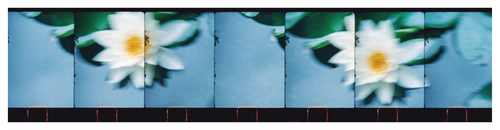 Main image Monets Garden, Giverny #1