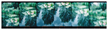 Load image into Gallery viewer, Main image Monets Garden, Giverny #3
