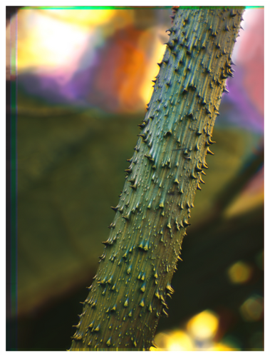 Main image Botanical Gardens #01