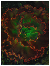 Load image into Gallery viewer, Main image Botanical Gardens #10
