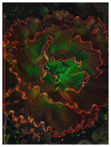 Main image Botanical Gardens #10