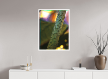 Load image into Gallery viewer, 60 x 80 cm, William Turner Print mit 2cm Weißrand Botanical Gardens #01
