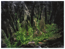 Load image into Gallery viewer, Main image Kauai, Hawaii #05
