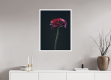Load image into Gallery viewer, 60 x 80 cm, William Turner Print mit 2cm Weißrand Assaulted Flowers #08

