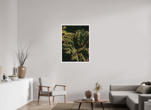 Load image into Gallery viewer, 75 x 100 cm, William Turner Print mit 2cm Weißrand Botanical Gardens
