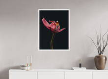 Load image into Gallery viewer, 60 x 80 cm, William Turner Print mit 2cm Weißrand Assaulted Flowers

