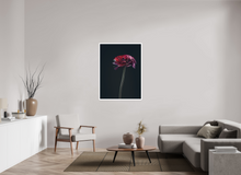 Load image into Gallery viewer, 90 x 120 cm, William Turner Print mit 2cm Weißrand Assaulted Flowers #08
