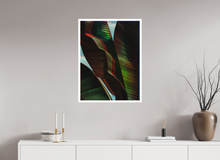 Load image into Gallery viewer, 60 x 80 cm, William Turner Print mit 2cm Weißrand Botanical Gardens #10

