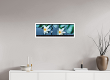 Load image into Gallery viewer, 76 x 25 cm, William Turner Print mit 2cm Weißrand Monets Garden, Giverny
