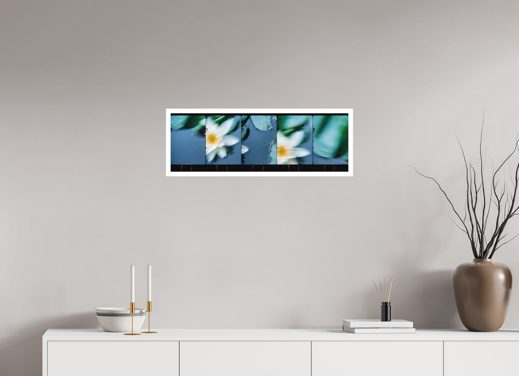 76 x 25 cm, William Turner Print mit 2cm Weißrand Monets Garden, Giverny