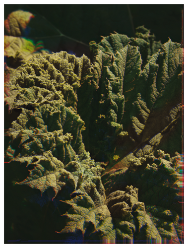 Main image Botanical Gardens