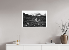 Load image into Gallery viewer, 75 x 50 cm, William Turner Print mit 2cm Weißrand 2 sheep, Austria
