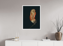 Load image into Gallery viewer, 60 x 80 cm, William Turner Print mit 2cm Weißrand Assaulted Flowers #09
