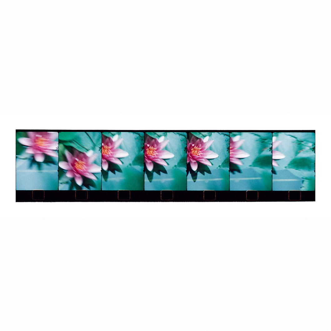 Giverny. Monets Garden #5, ca 84.7 cm x 20 cm