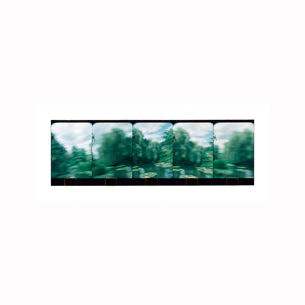 Giverny. Monets Garden #7, ca 62.6 cm x 20 cm
