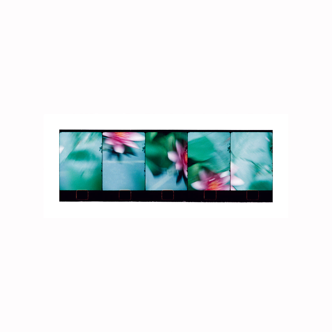 Giverny. Monets Garden #4, ca 60.6 cm x 20 cm